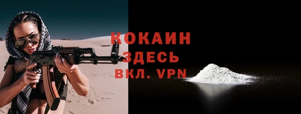 дживик Осинники