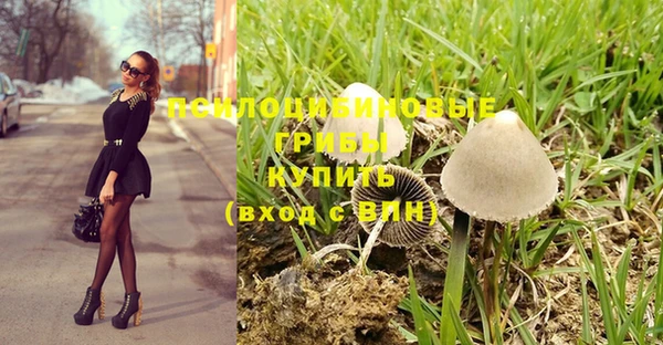 сатива Алексин