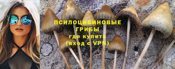 сатива Алексин