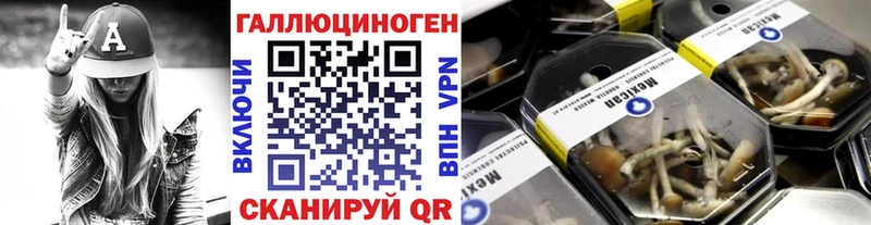Псилоцибиновые грибы прущие грибы  KRAKEN   Гвардейск 